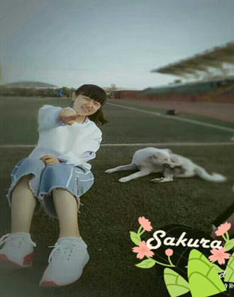 �y���҃��OӋ|�y���OӋ��