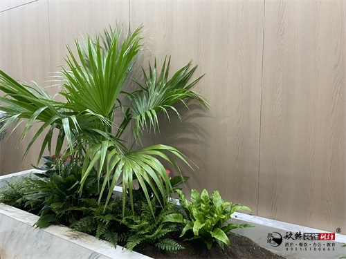 �y���k�����b���OӋ�����D|�N���OӋ