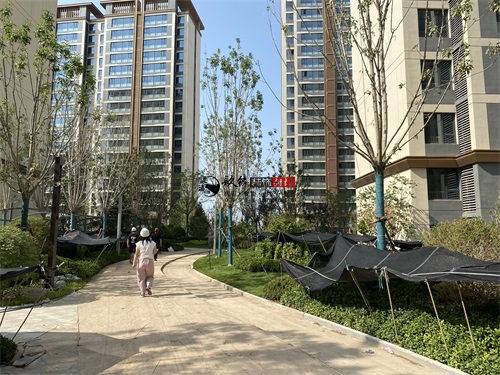 �y���ۘǲ��b���OӋ�Ŀ|�N���b�