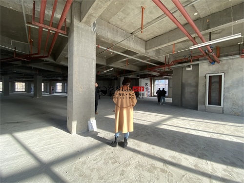 �y���̘I�����OӋ�b���Ŀ|�N���b�