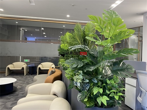 �y���k�����O(sh��)Ӌ(j��)�b���(xi��ng)Ŀ|�N���b�